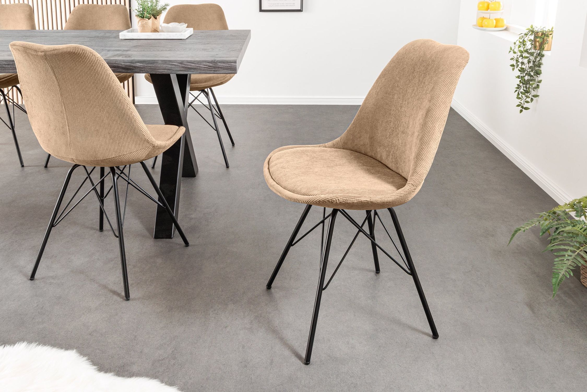 Fußboden, Mobiliar, Stuhl, Tabelle, Innenarchitektur