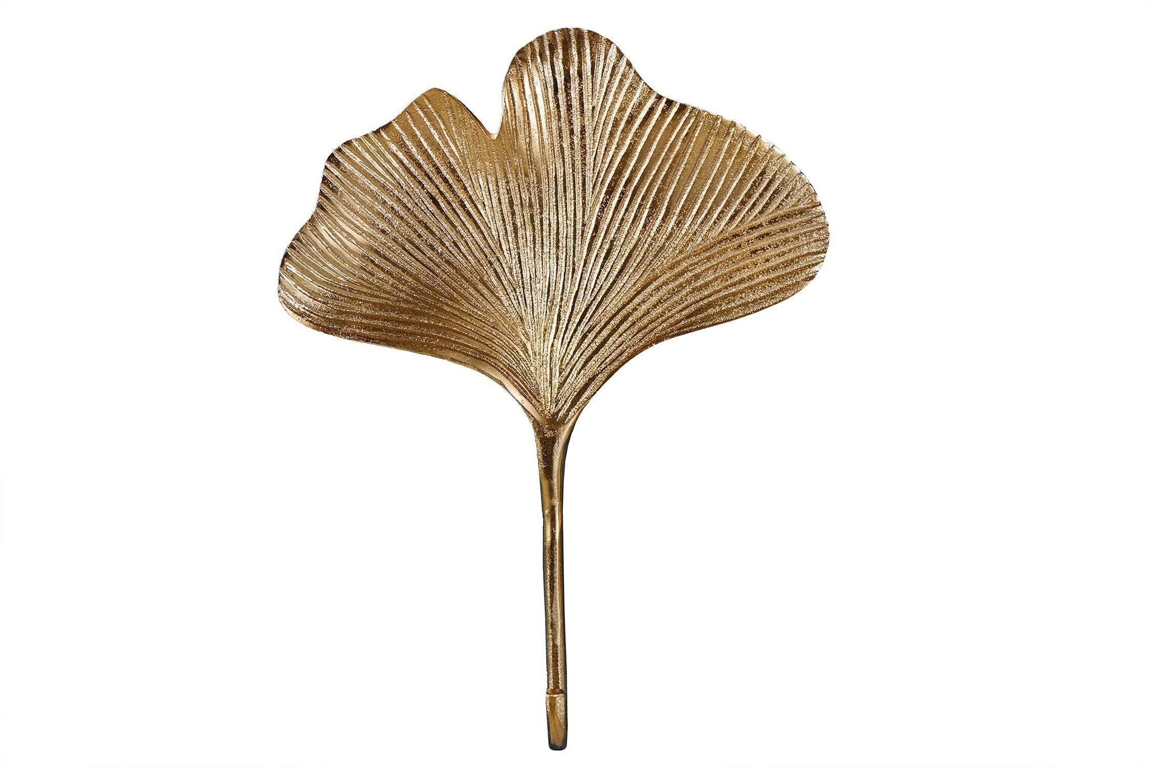 Fungus, Pflanze