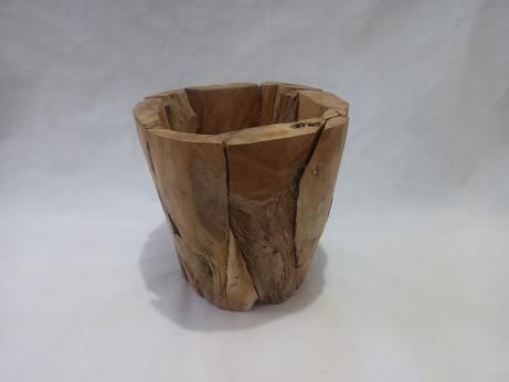 Pflanze, Baum, Holz