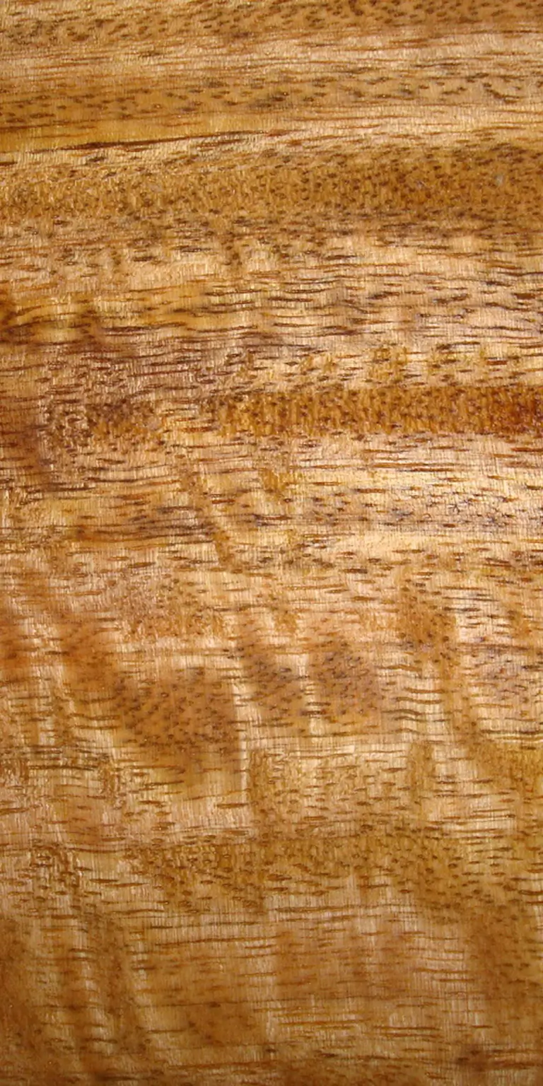 faunos-home-mangoholz