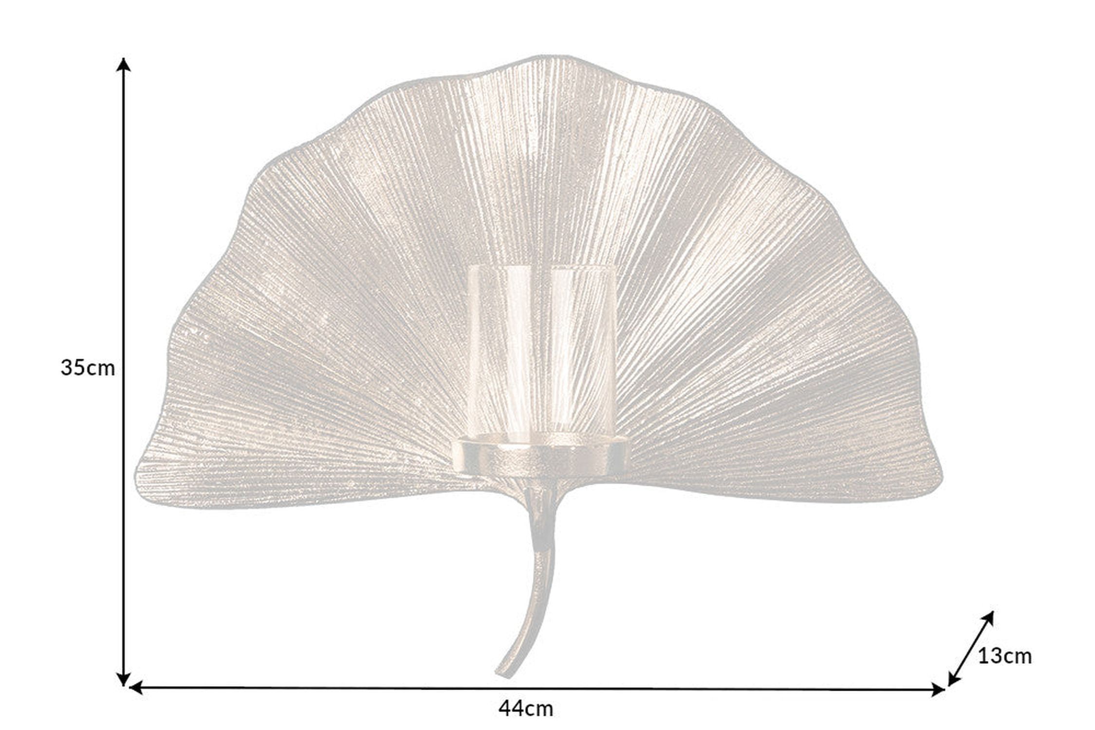 Muschel, Leben im Meer, Kleidung, Hut