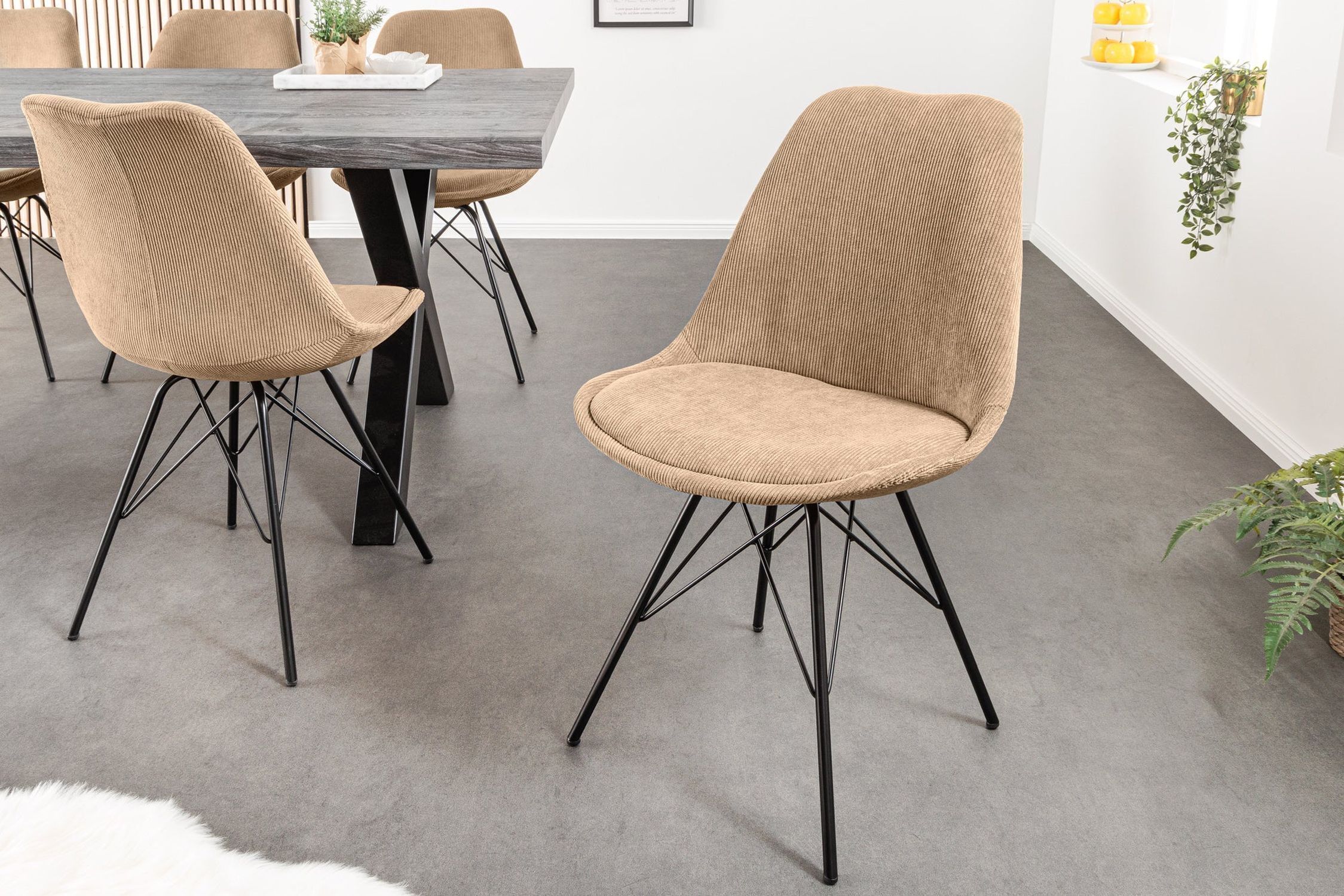 Fußboden, Mobiliar, Stuhl, Dekoration für Zuhause, Tabelle