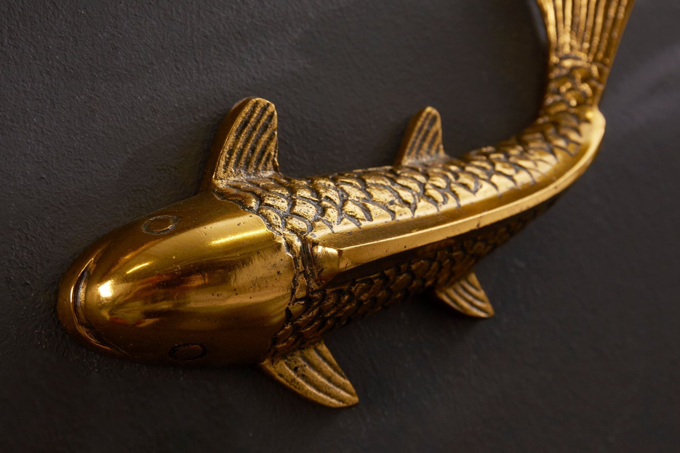 Bronze, Gold, Tier, Fische, Leben im Meer