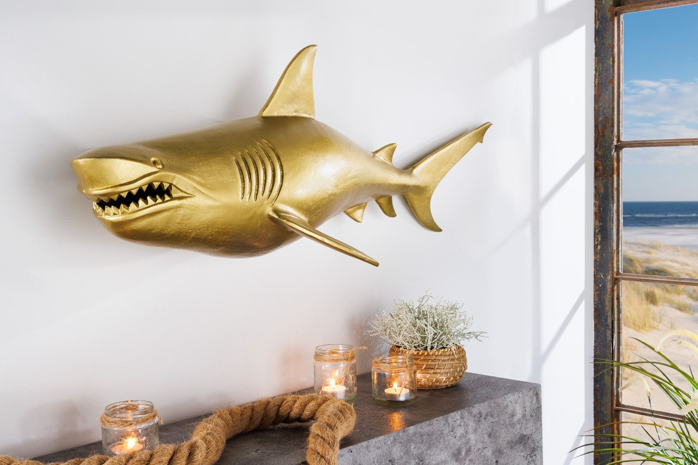 Tier, Fische, Leben im Meer, Hai