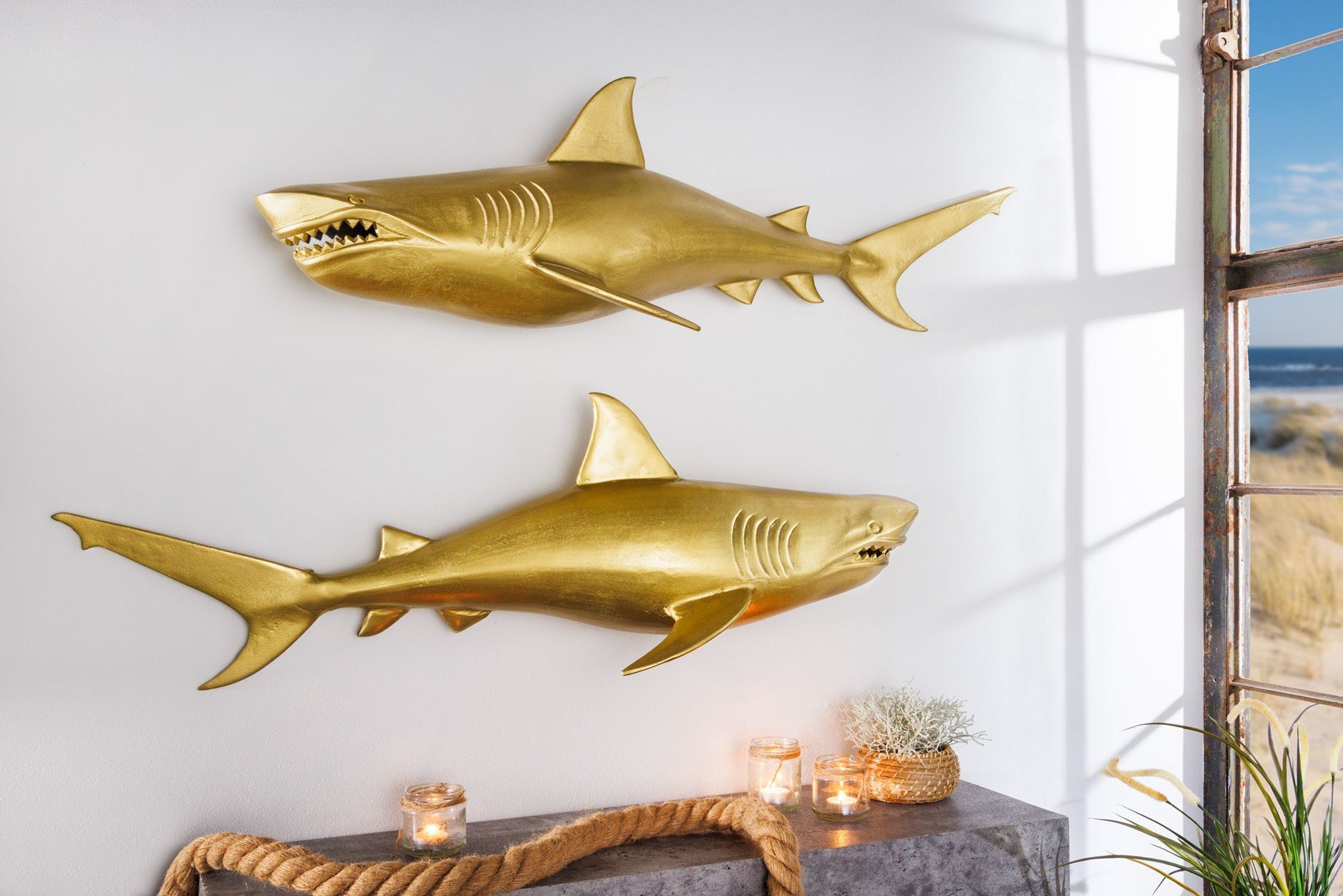 Tier, Fische, Leben im Meer, Hai