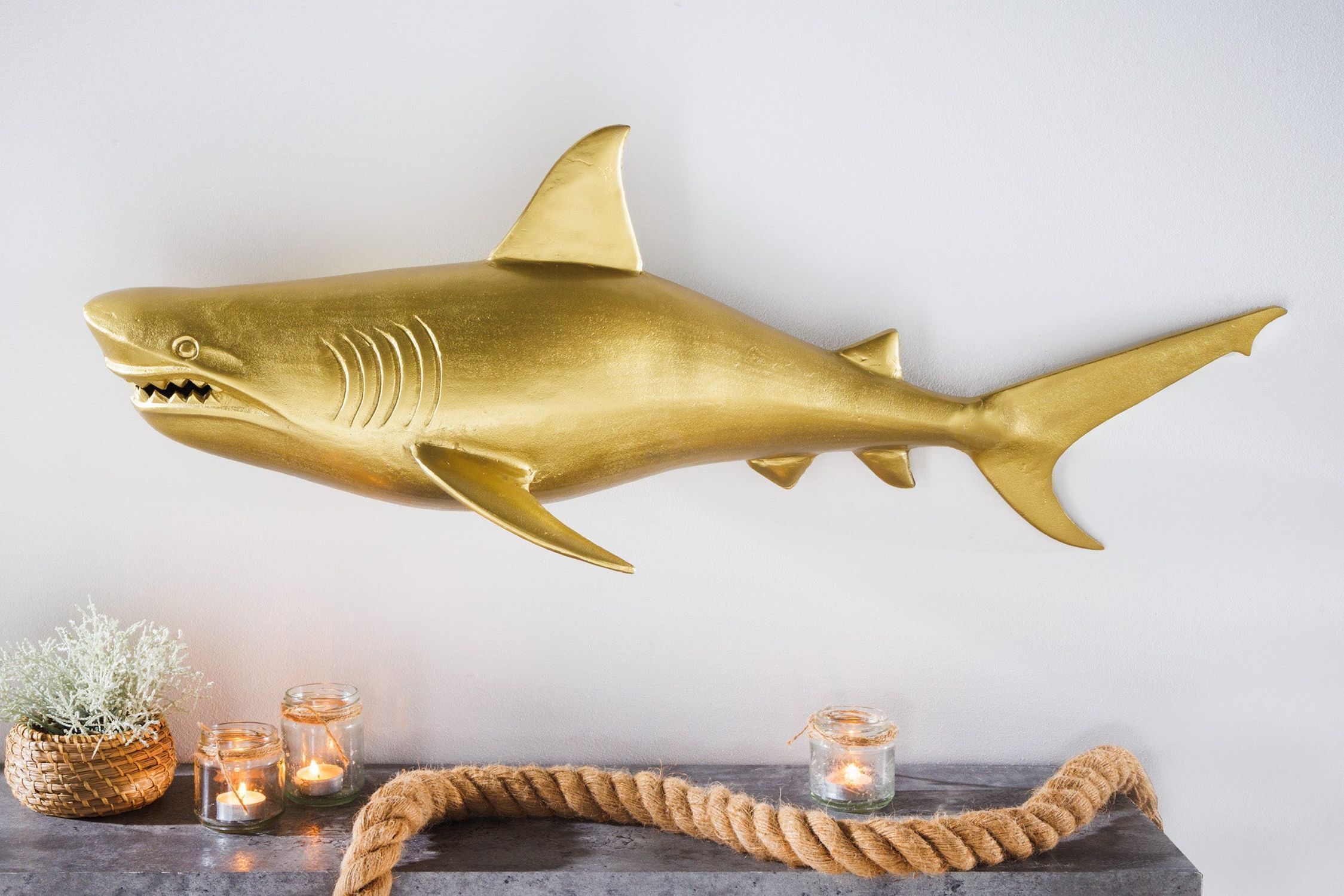 Tier, Leben im Meer, Fische, Hai