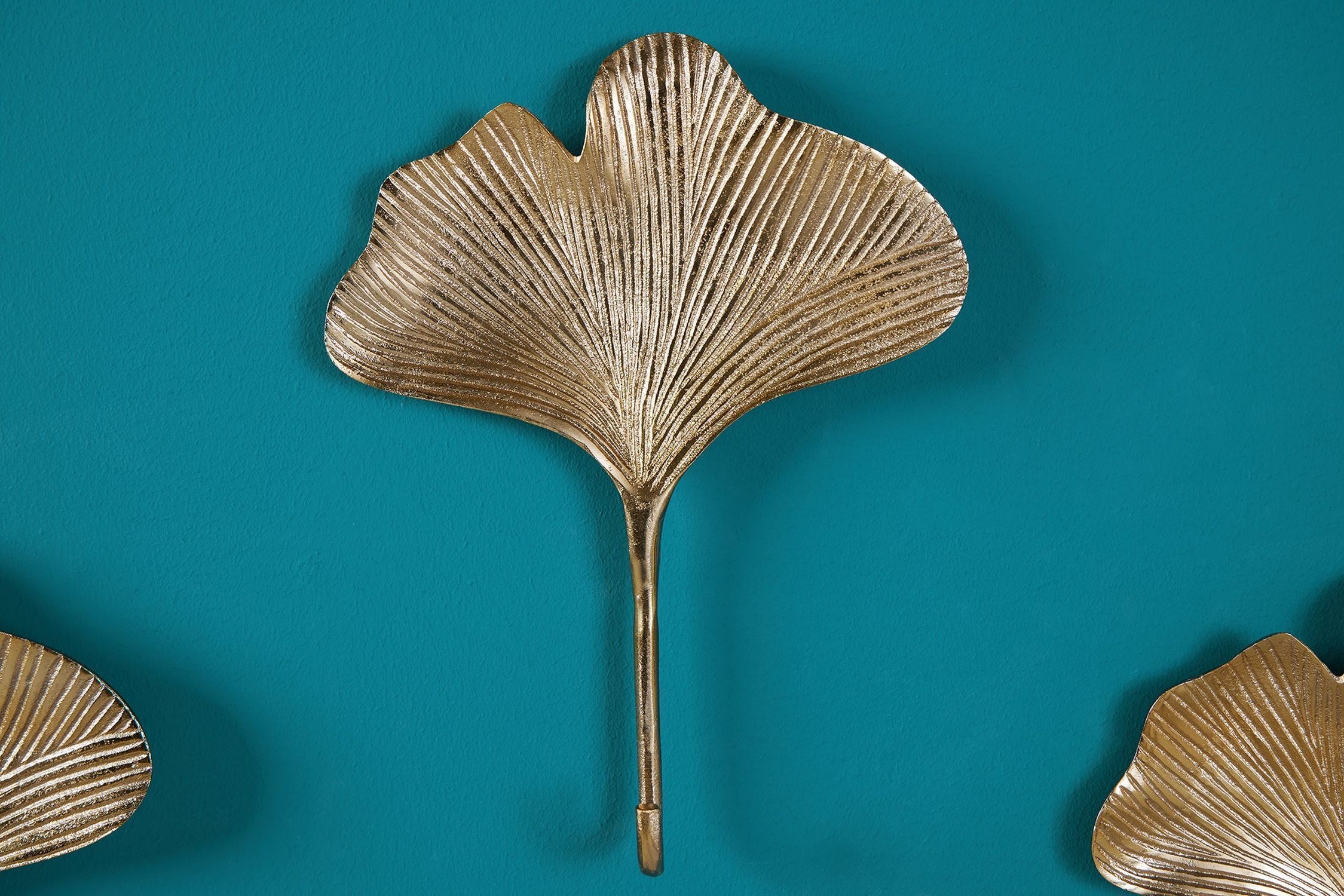 Fungus, Pflanze, Leben im Meer, Muschel, Kunsthandwerk