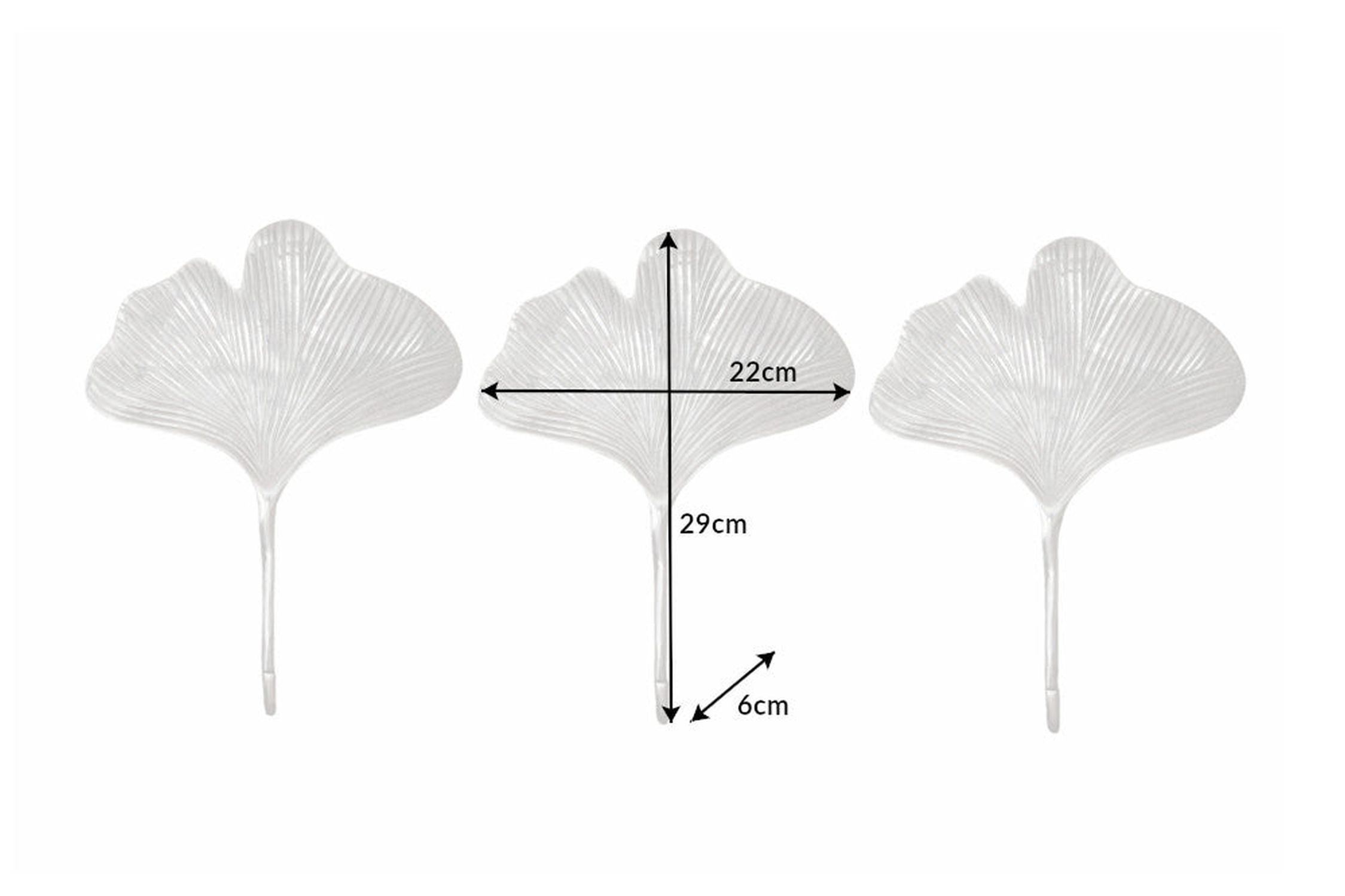 Muschel, Diagramm, Handlung, Pilz
